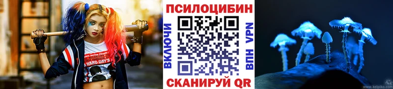 даркнет формула  Приволжск  Галлюциногенные грибы GOLDEN TEACHER 
